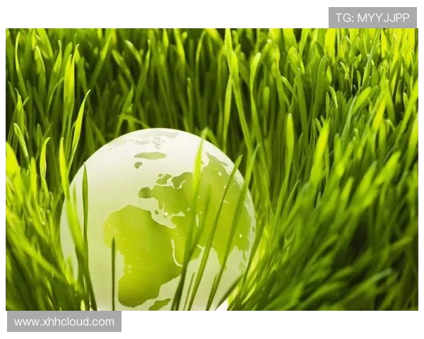 绿色科技引领世界杯回收材料球衣可持续时尚新未来探索环保新篇章 - 副本 - 副本 (3)