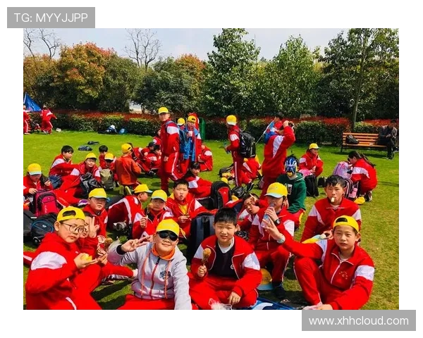 贝林厄姆核心价值观：坚持创新与责任并肩推动未来发展